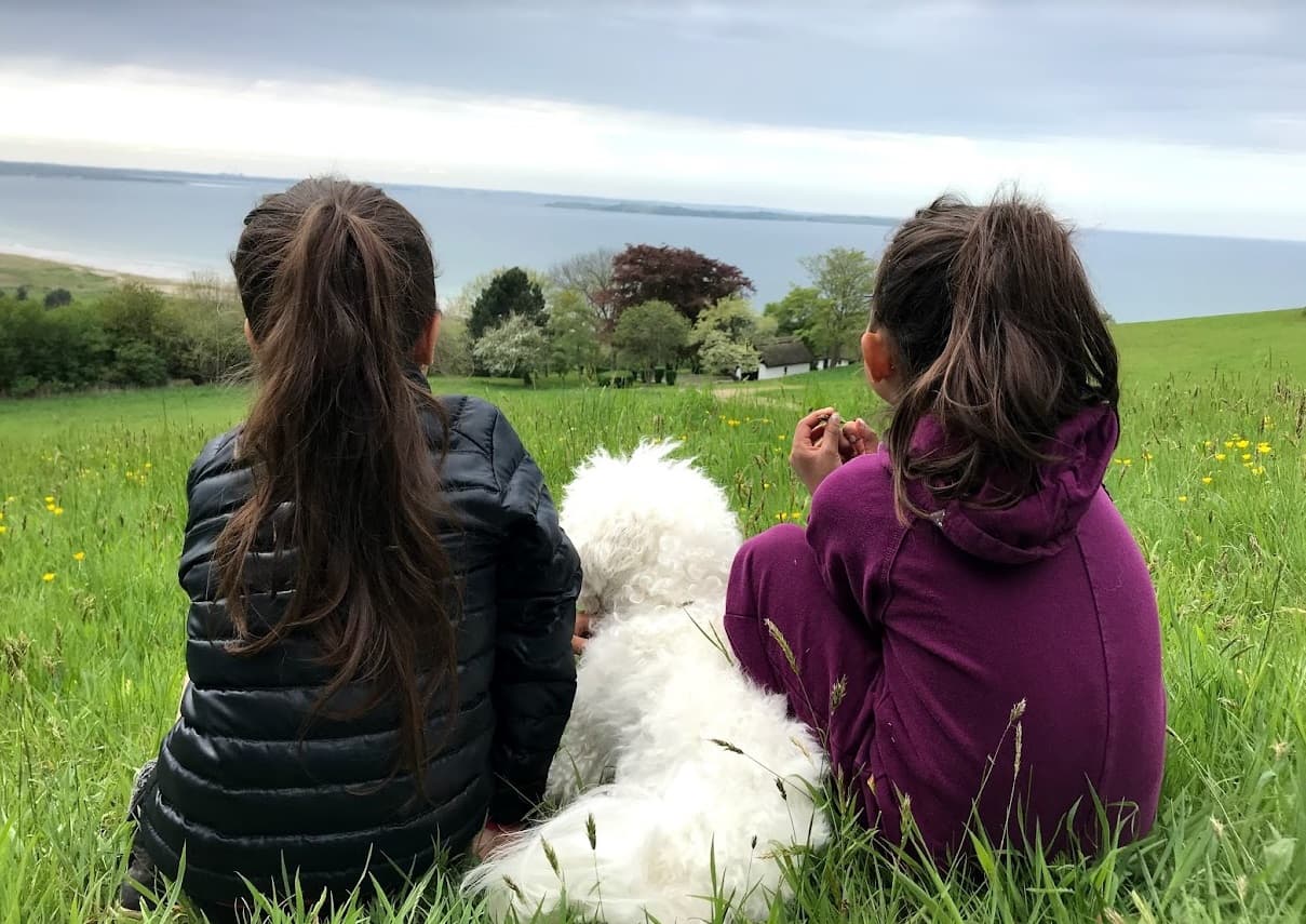 To piger sidder i græsset med en hvid hund og kigger ud over vandet