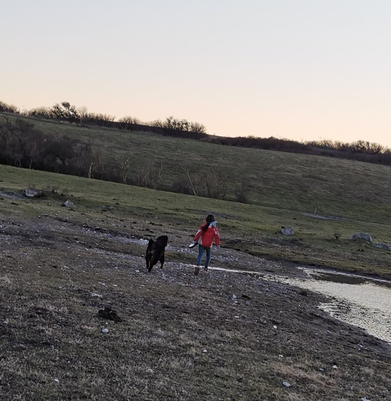 Hund og menneske på gåtur i vandkanten ved solnedgang nær Asnæs